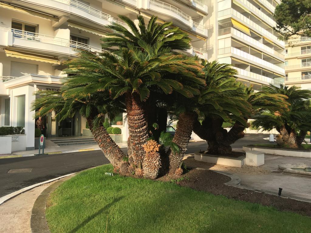 Appartement Cannes Sur Croisette エクステリア 写真